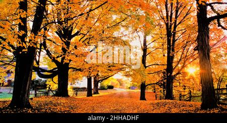 Autunno strada di campagna alba in New England Foto Stock