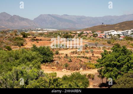 Worcester. 23rd Jan 2022. Foto scattata il 23 gennaio 2022 mostra una vista del Karoo Desert National Botanical Garden a Worcester, Sudafrica. L'orto Botanico Nazionale del deserto di Karoo, di 154 ettari, coltiva e mostra un'ampia varietà di piante endemiche in ambienti aridi e semi-aridi. Credit: LYU Tianran/Xinhua/Alamy Live News Foto Stock