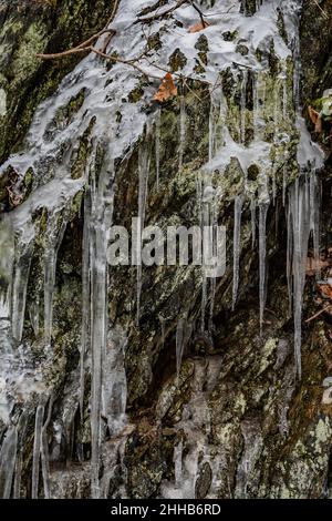 Ghiacciate lungo il Rail Trail, l'Heritage Rail Trail County Park, York County, Pennsylvania, USA Foto Stock