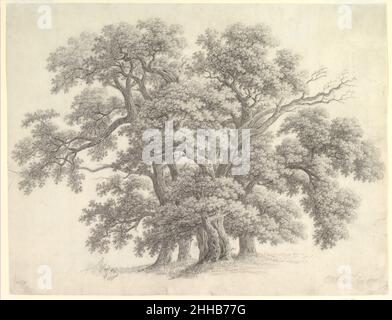 Studio degli alberi di quercia (recto) 1800 Carl Wilhelm Kolbe tedesco. Studio degli alberi di quercia (recto) 359512 Foto Stock