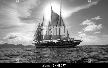 Una grande goletta di 3 alberi che naviga nei Caraibi vicino a Mayreau Foto Stock