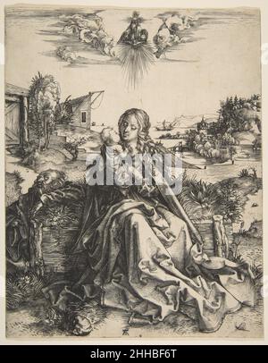 Sacra Famiglia con una Dragonfly ca. 1495 Albrecht Dürer Tedesco. Sacra Famiglia con una Dragonfly 391031 Foto Stock