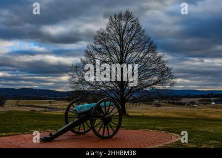 Foto di un cannone della Guerra civile e di un albero in una fredda giornata invernale, Antietam National Battlefield, dicembre 2019 Foto Stock