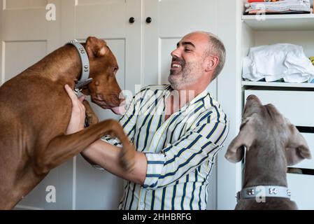 L'uomo felice di mezza età ama giocare con i suoi due cani a casa. Foto Stock
