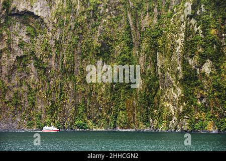 Crociera in barca a Milford Sound fiord, South Island, Nuova Zelanda Foto Stock