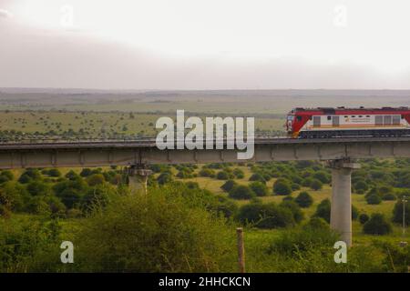 Treno cargo sulla ferrovia di Nairobi Mombasa visto dal Parco Nazionale di Nairobi, Kenya Foto Stock