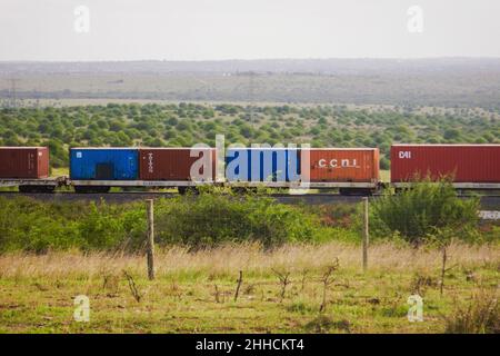 Treno cargo sulla ferrovia di Nairobi Mombasa visto dal Parco Nazionale di Nairobi, Kenya Foto Stock