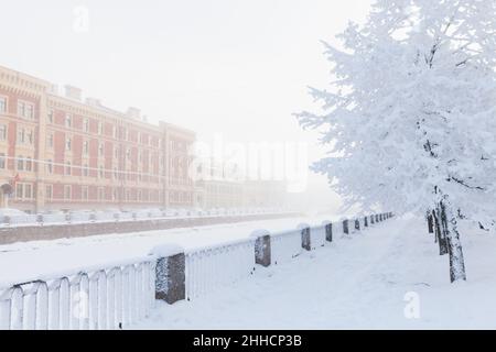 Vista sul canale di Griboyedov in una fredda giornata invernale innevata. Paesaggio urbano di San Pietroburgo, Russia Foto Stock