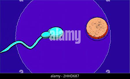 3d illustrazione in stile comico - sperma e uovo umano fertile. Concetto di inseminazione. Foto Stock