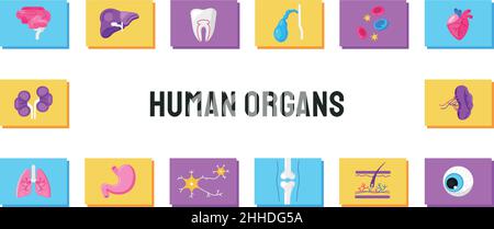 Illustrazione vettoriale degli organi interni umani del cartone animato. Illustrazione Vettoriale