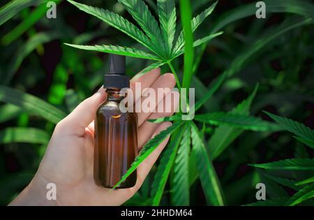CBD olio di canapa, mano che tiene olio di cannabis contro la pianta di Marijuana, rimedio alternativo o farmaco, concetto di medicina. Vista dall'alto, fotografia piatta. Foto Stock