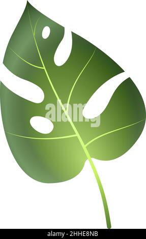 Foglia di albero della giungla. Pianta verde esotica. Fogliame tropicale Illustrazione Vettoriale