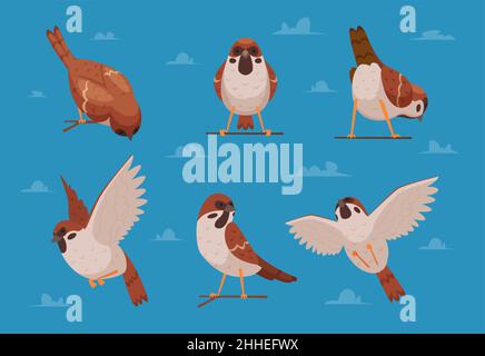 Passeri. Cartoon uccelli divertenti in varie pose caratteri chirp natura animali esatto vettore cartoon illustrazioni di passeri Illustrazione Vettoriale