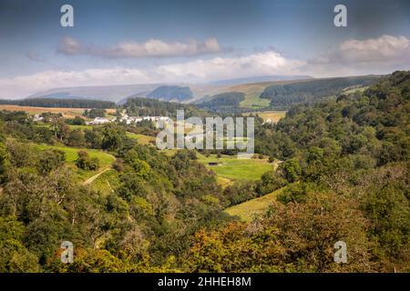 Regno Unito, Galles, Merthyr Tydfil, Pant, Brecon Mountain Railway, Vista dalla finestra del treno in movimento verso Pontsticill Foto Stock