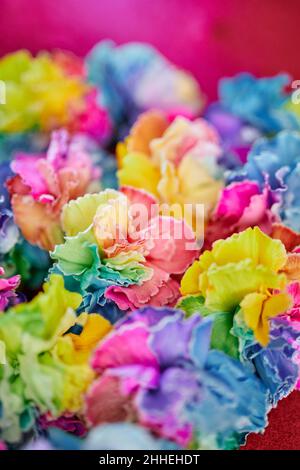 LGBTQ, uguaglianza, negozio di fiori o botanica concetto. Bel mazzo di fiori di garofano primavera freschi color arcobaleno su sfondo rosso tavolo. Foto verticale di alta qualità Foto Stock