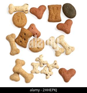 biscotti sani e gustosi del cane tratta le forme differenti in una disposizione usata per addestramento e le occasioni su un macrofotografia di fondo isolato bianco Foto Stock