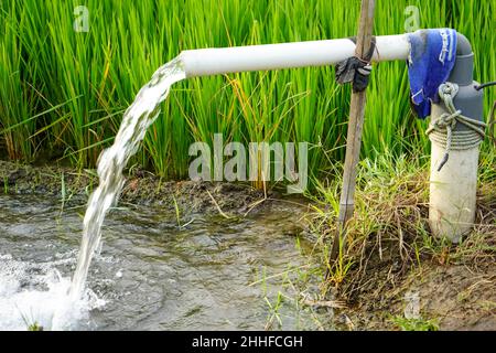 Irrigazione di campi di riso utilizzando pozzi pompa con la tecnica di pompare acqua dal suolo per fluire nei campi di riso. La stazione di pompaggio. Foto Stock