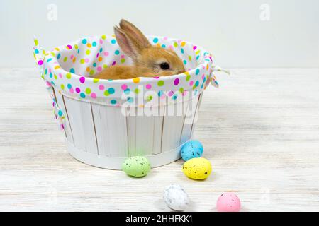 Soffice coniglio di testa rossa in un cestino e colorate uova di Pasqua su un tavolo bianco. Concetto di Pasqua Foto Stock