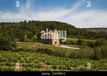 Chiesa piccola e vigneti in Corbières A.O.C Backcountry in Francia Foto Stock