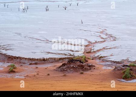 Modello dendritico di acqua sulla padella di argilla di Deadvlei con gli alberi in distanza. Vista dall'alto, vista aerea. Sossuvlei, Namib-Naukluft Park, Namibia Foto Stock