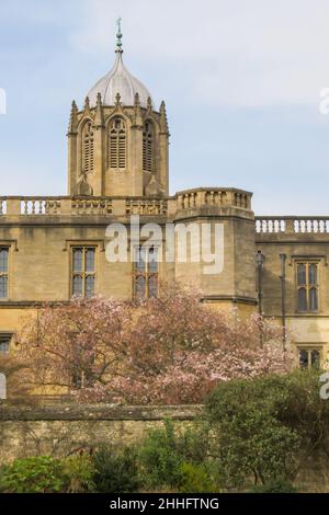 Vista di una delle torri del Christ Church College, Oxford, Regno Unito, come visto dal prato con un albero in fiore in primo piano Foto Stock