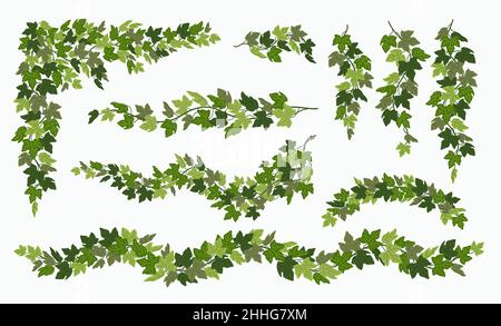 Viti Ivy set, varie piante verde superriduttore isolato su sfondo bianco. Illustrazione vettoriale in stile cartoon piatto. Illustrazione Vettoriale