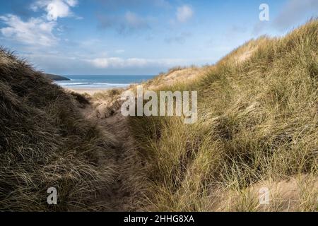 Luce dorata alla fine della giornata per gravi danni causati dall'attività umana al fragile sistema di dune di sabbia a Crantock Beach a Newquay Foto Stock