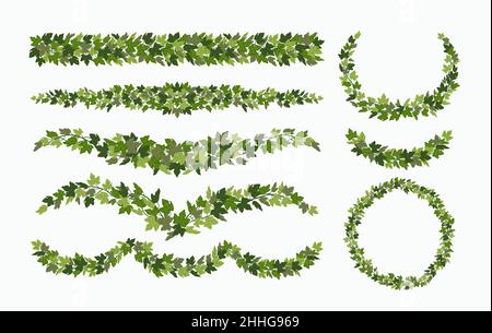 Viti vettoriali e ghirlande Ivy, elementi decorativi in foglie verdi, isolate su sfondo bianco. Illustrazione vettoriale in stile cartoon piatto. Illustrazione Vettoriale