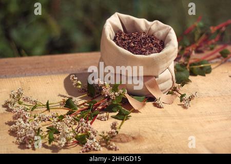 Scafi di grano saraceno - sacco con grani, spighe di grano Foto Stock