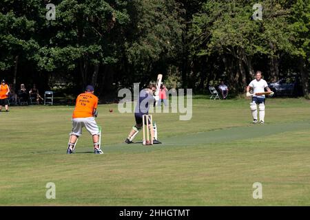Una scena estiva del fine settimana di cricketers dilettanti godendo di una partita knockout su un terreno alberato Foto Stock