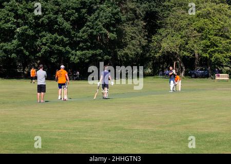 Una scena estiva del fine settimana di cricketers dilettanti godendo di una partita knockout su un terreno alberato Foto Stock