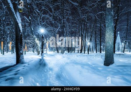 Parco invernale di notte con decorazioni natalizie, lanterne incandescenti, pavimentazione coperta di neve e alberi. Foto Stock