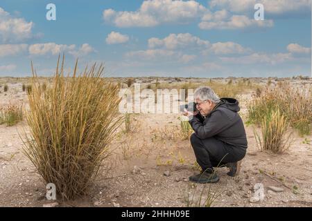 Uomo adulto dai capelli grigi con occhiali che si inginocchiano nella sabbia scattando una fotografia nei cespugli. Foto Stock