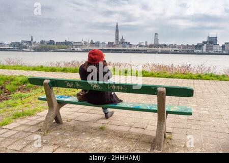 Donna che guarda il paesaggio fluviale al tramonto, Anversa. Belgio Foto Stock
