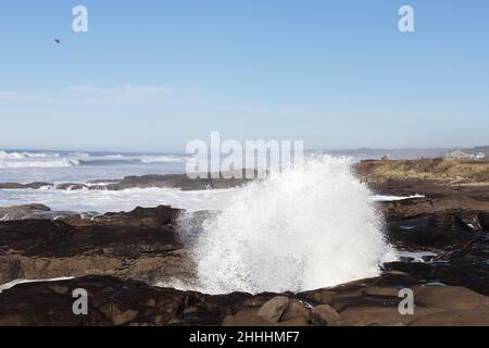 Grandi onde si infrangono contro la costa rocciosa di Yachats, Oregon, USA. Foto Stock