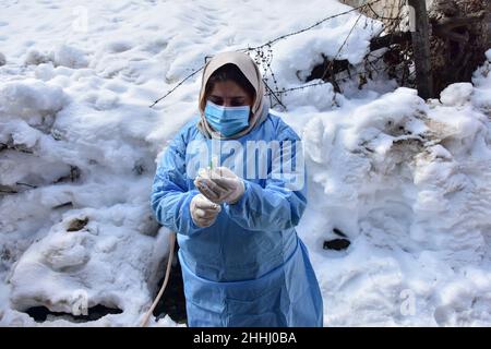 Kashmir, India, 24/01/2022, un operatore sanitario, prepara il vaccino del Coronavirus Covishield prima di somministrarlo ad una donna anziana durante una vaccinazione porta a porta in mezzo alla neve in un villaggio remoto nel distretto di Budgam, a circa 60kms da Srinagar. Nonostante le strade ghiacciate e completamente innevate, gli operatori sanitari della valle del Kashmir si stanno sfidando alle dure condizioni climatiche e stanno andando porta a porta per vaccinare le persone contro il Coronavirus. Il reparto di salute ha deciso la campagna per le persone sopra i 60 che non possono venire al centro di vaccinazione a causa di malattie o condizioni meteorologiche. Foto Stock