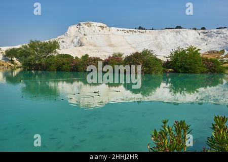 Il piccolo lago di Pamukkale sulla Turchia Foto Stock