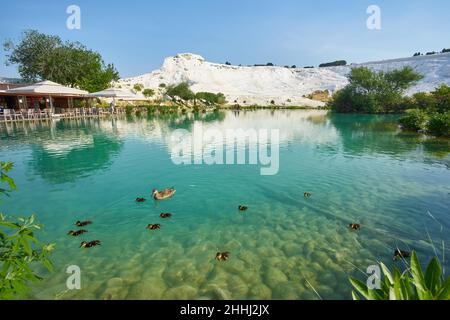 Il piccolo lago di Pamukkale sulla Turchia Foto Stock