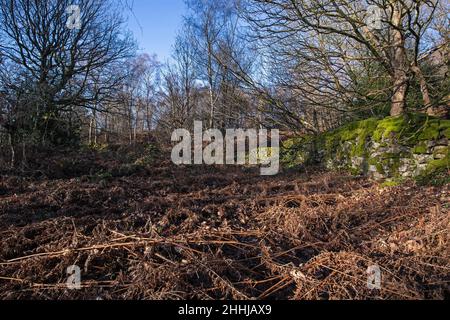 Vista generale di Crich Chase, Derbyshire, Regno Unito Foto Stock