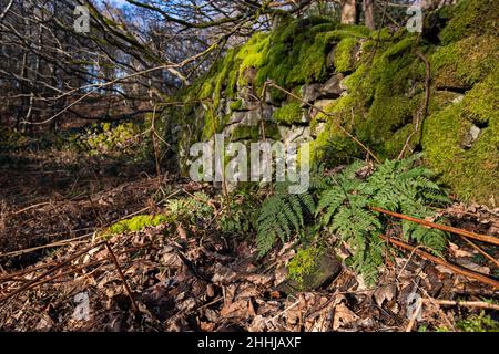 Vista generale di Crich Chase, Derbyshire, Regno Unito Foto Stock