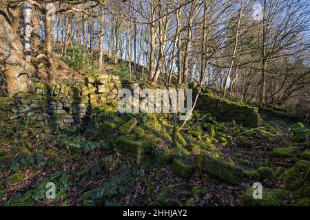 Vista generale di Crich Chase, Derbyshire, Regno Unito Foto Stock