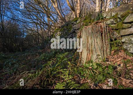 Vista generale di Crich Chase, Derbyshire, Regno Unito Foto Stock