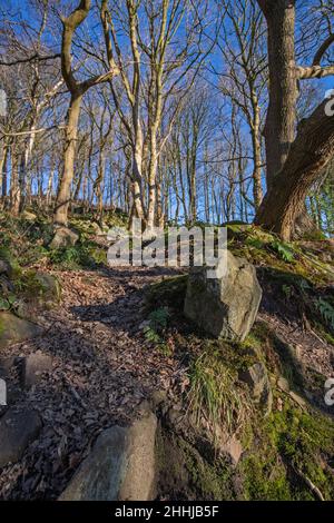 Vista generale di Crich Chase, Derbyshire, Regno Unito Foto Stock