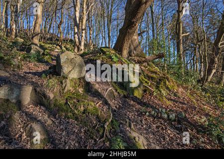 Vista generale di Crich Chase, Derbyshire, Regno Unito Foto Stock