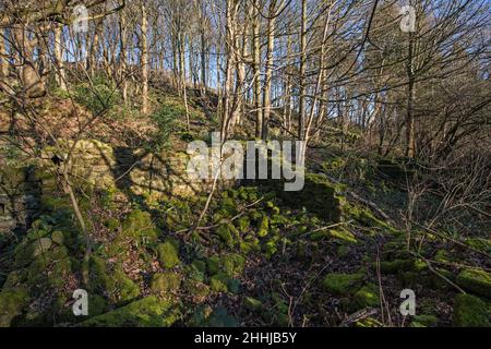 Vista generale di Crich Chase, Derbyshire, Regno Unito Foto Stock