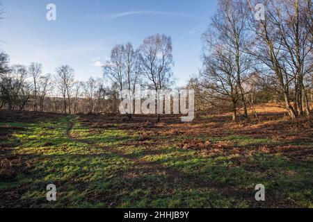 Vista generale di Crich Chase, Derbyshire, Regno Unito Foto Stock