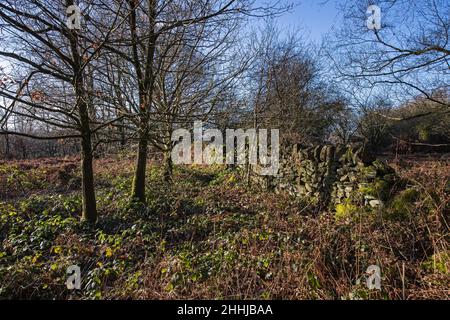 Vista generale di Crich Chase, Derbyshire, Regno Unito Foto Stock