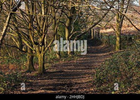 Vista generale di Crich Chase, Derbyshire, Regno Unito Foto Stock