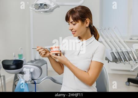 Il dentista dimostra il mock-up delle mandibole umane e spiega la prevenzione e il trattamento delle carie. Primo piano del modello dei denti nelle mani del medico. Foto di concetto sul tema dentale. Foto Stock