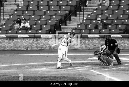 MAZATLAN, MESSICO - 05 FEBBRAIO: Ronald Guzman di Las Aguilas Cibaneñas, durante una partita tra Repubblica Dominicana e Panama come parte della Serie del Caribe 2021 allo Stadio Mariscal Teodoro il 5 febbraio 2021 a Mazatlan, Messico. (Foto di Luis Gutierrez/ Norte foto) Foto Stock